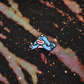 Ziggy Galaxy tee
